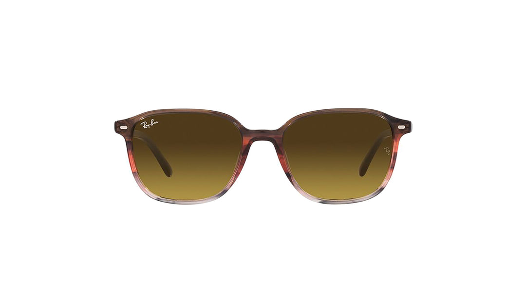 Ray-Ban RB2193