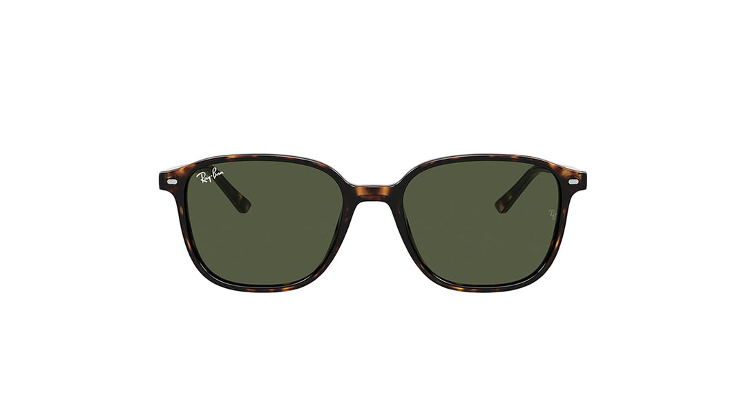 Ray-Ban RB2193