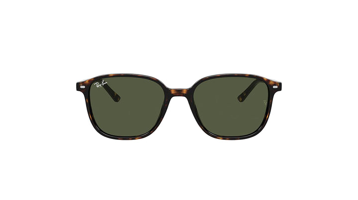 Ray-Ban RB2193