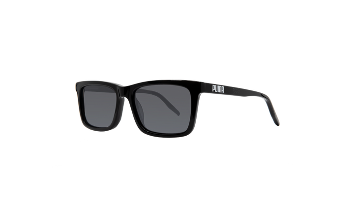 PJ0040S