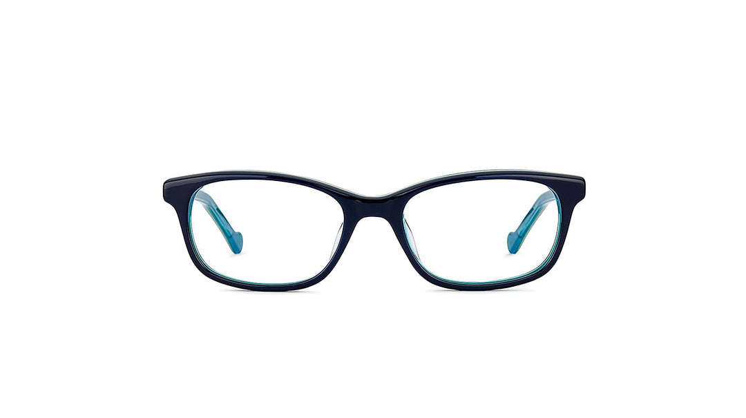 NanoVista BLOGGER