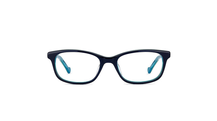 NanoVista BLOGGER