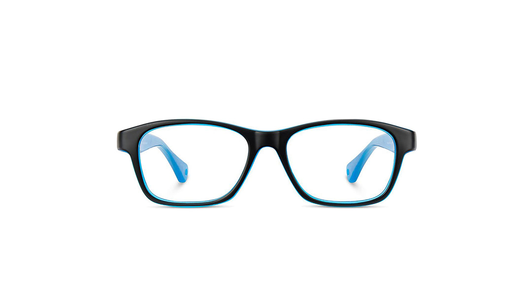 NanoVista GAIKAI