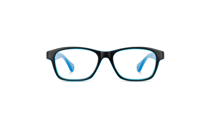 NanoVista GAIKAI